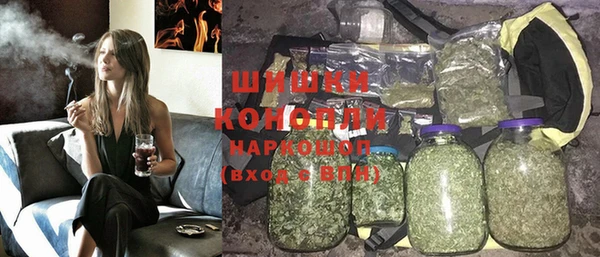 индика Покров